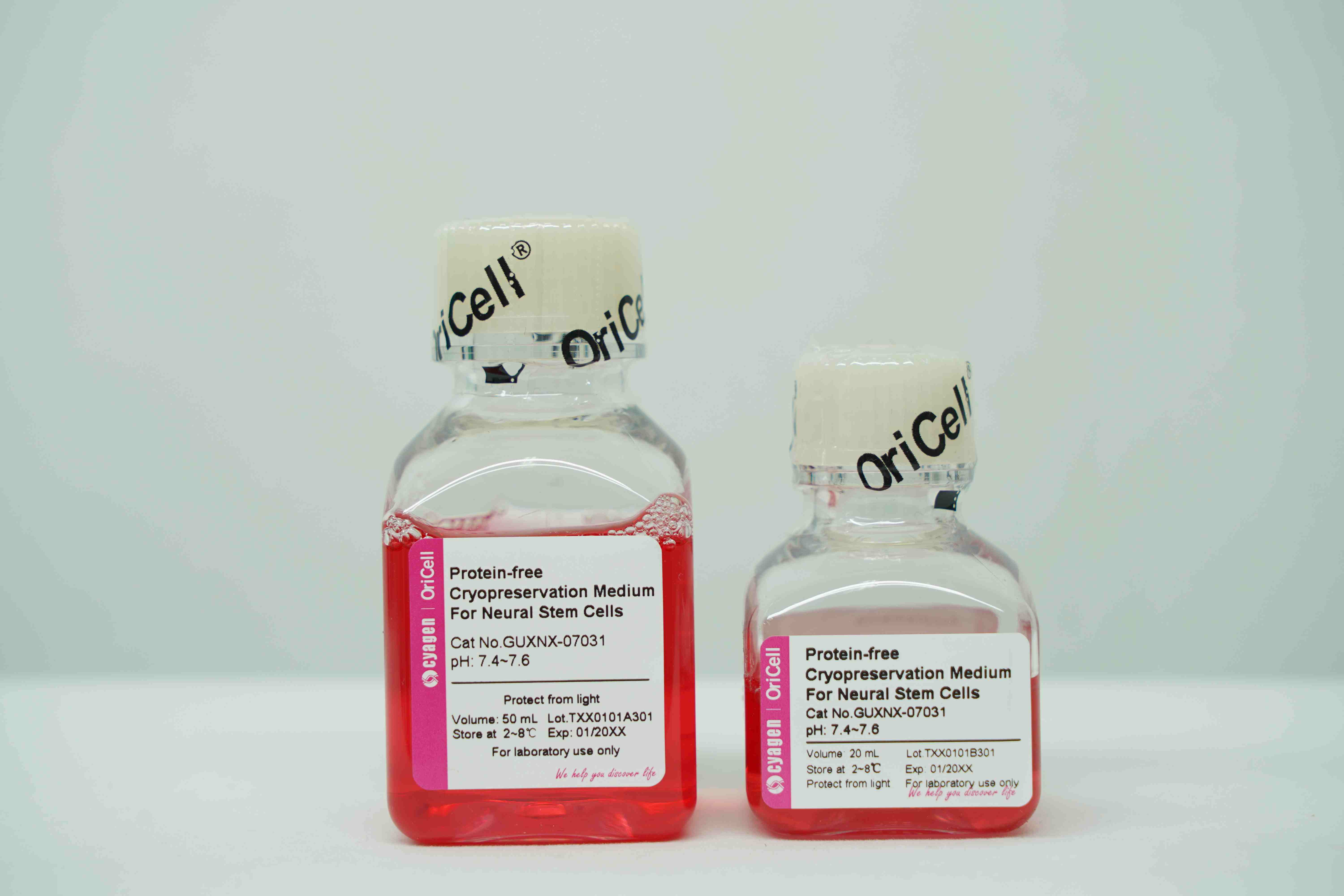OriCell<sup>®</sup>神经干细胞无蛋白程序冻存液