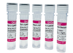 OriCell<sup>®</sup>Poly-L-lysine 多聚-L-赖氨酸