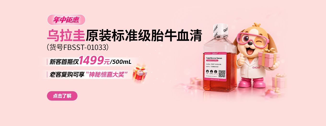 进口血清