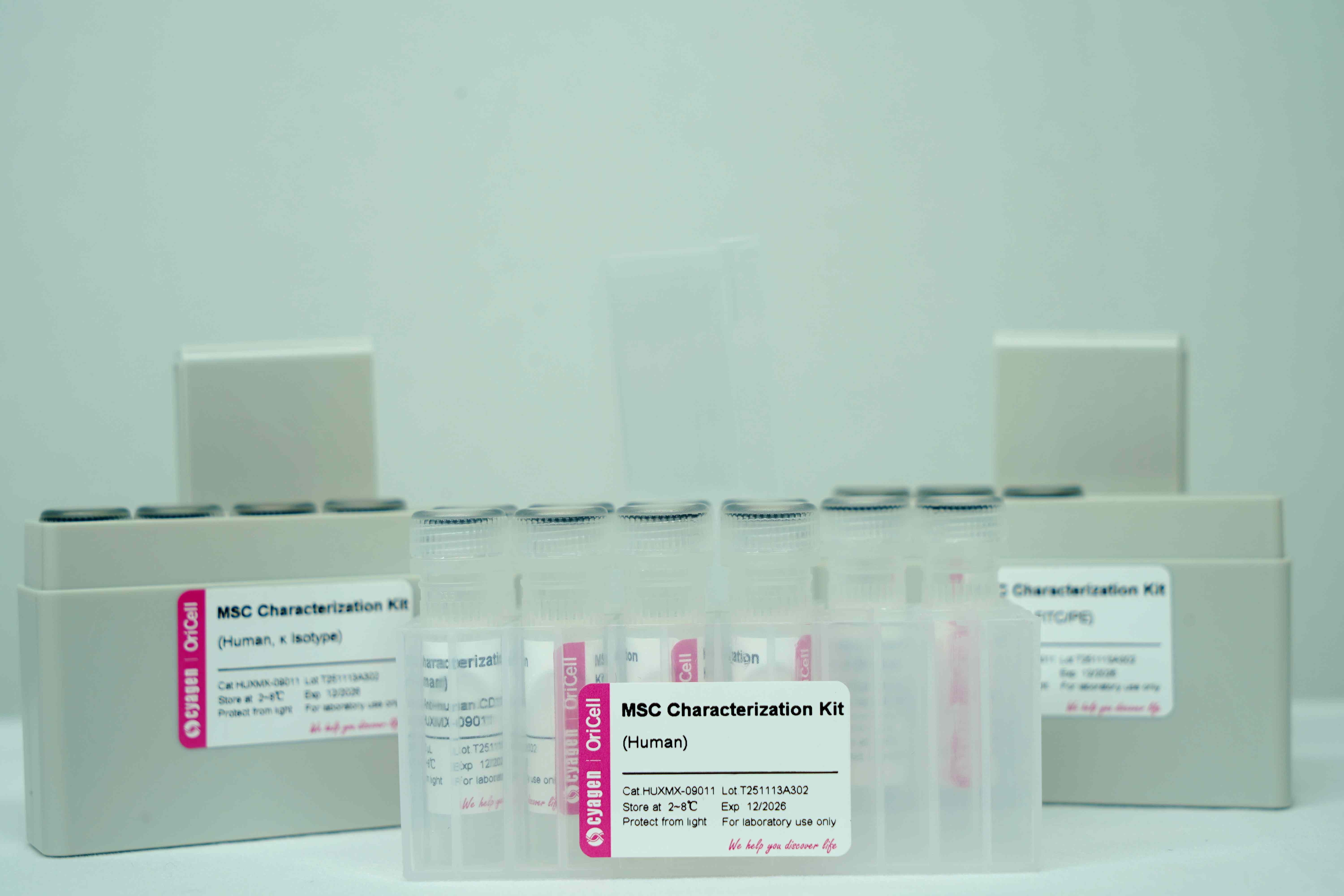 OriCell<sup>®</sup>间充质干细胞（人）表面标记检测试剂盒