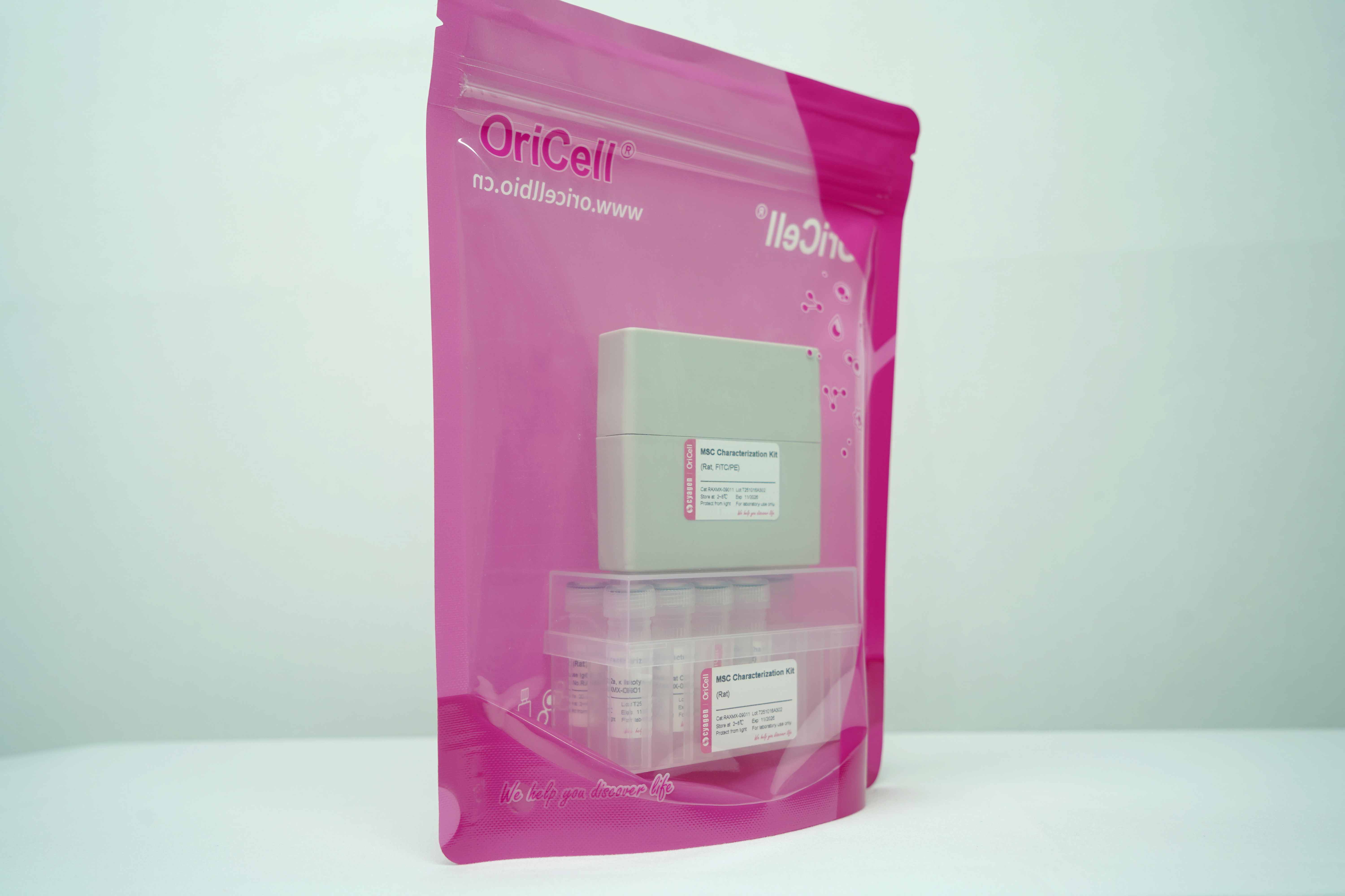OriCell<sup>®</sup>间充质干细胞（大鼠）表面标记检测试剂盒