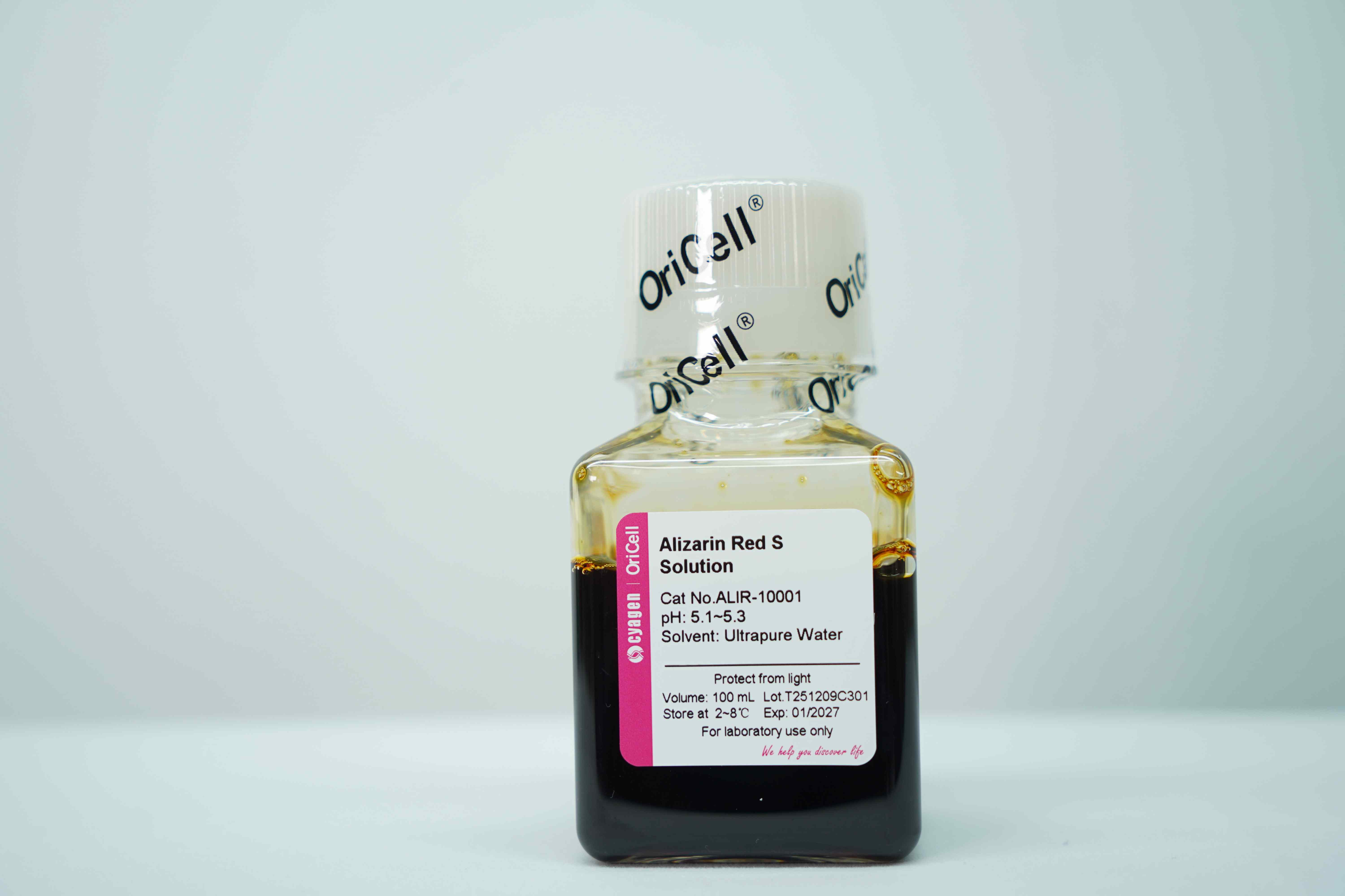 OriCell<sup>®</sup>茜素红染色液 （Alizarin Red S Solution）