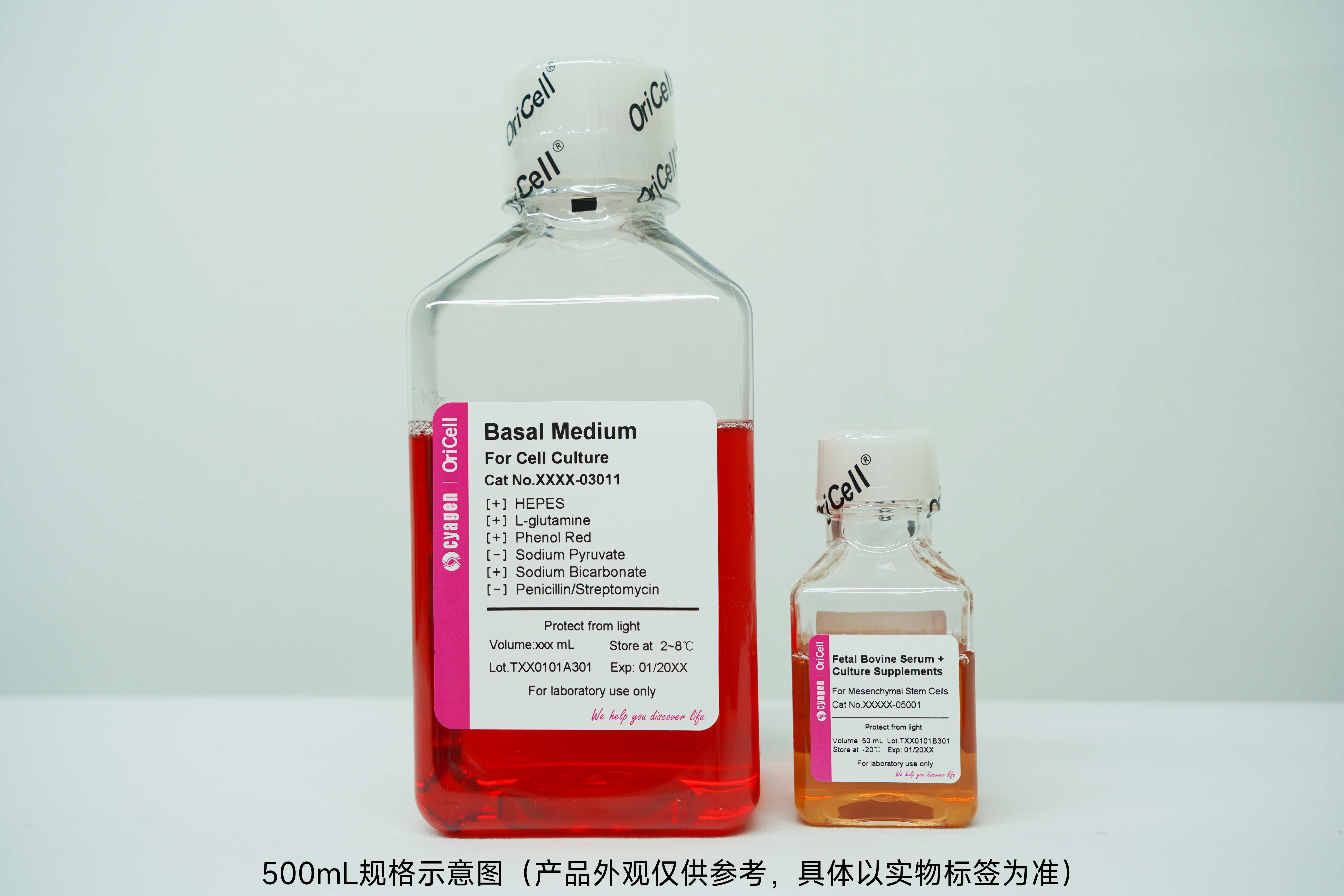 OriCell<sup>®</sup>人脐血间充质干细胞完全培养基