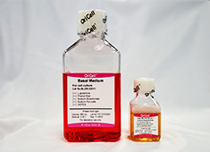 None OriCell<sup>®</sup>人脐血间充质干细胞完全培养基（无血清II型） HUXUB-90062