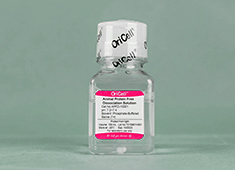 胰蛋白酶细胞消化液 OriCell<sup>®</sup>胰蛋白酶细胞消化液（0.25%） TEDTA-10001