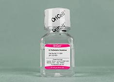 明胶溶液(0.1%) OriCell<sup>®</sup>明胶溶液(0.1%) GLT-11301