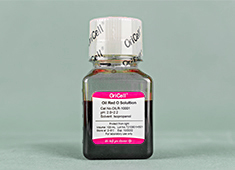 OriCell<sup>®</sup>油红O染色液 （Oil Red O Solultion）