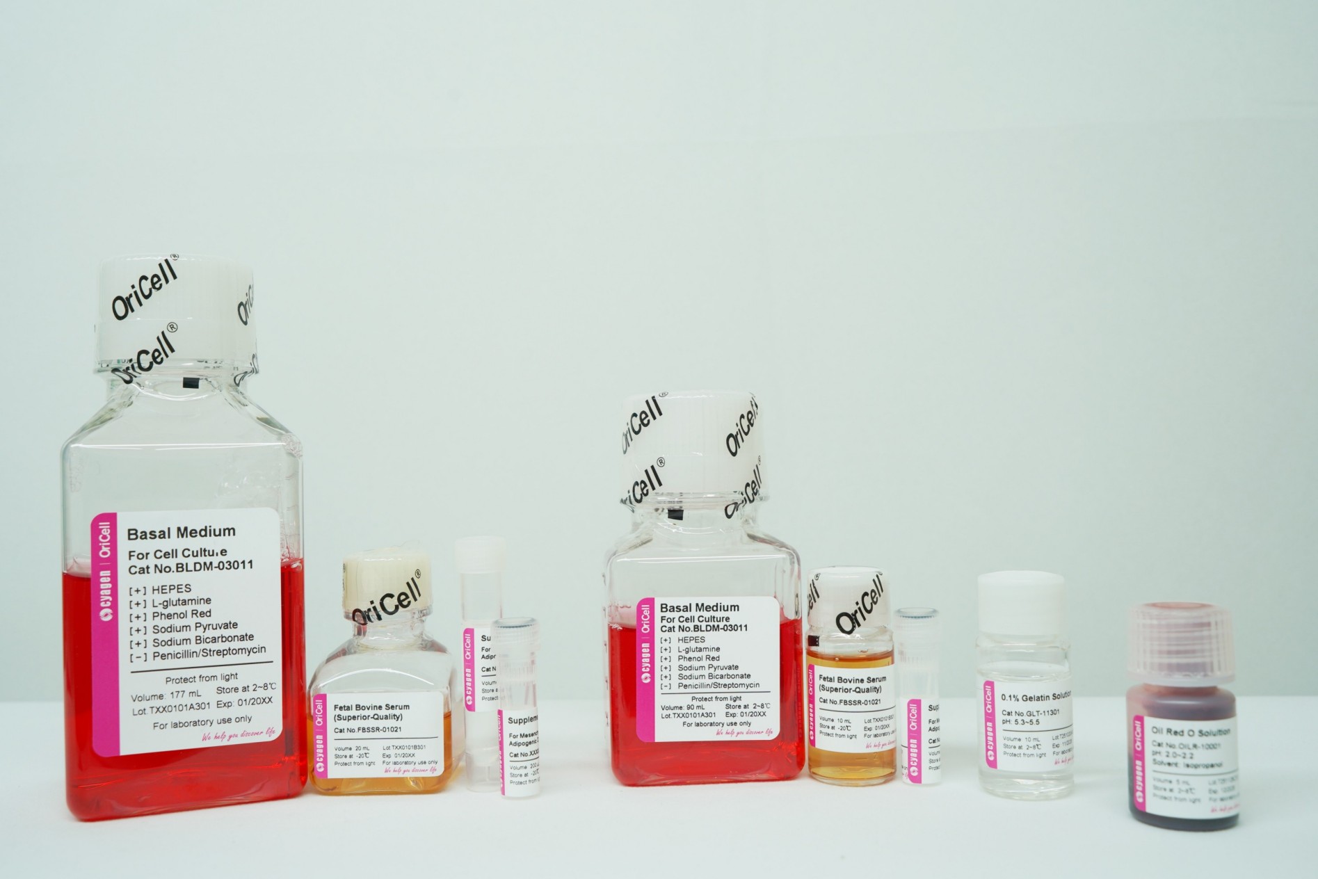 OriCell<sup>®</sup>脂肪间充质干细胞成脂诱导分化试剂盒（多用型）