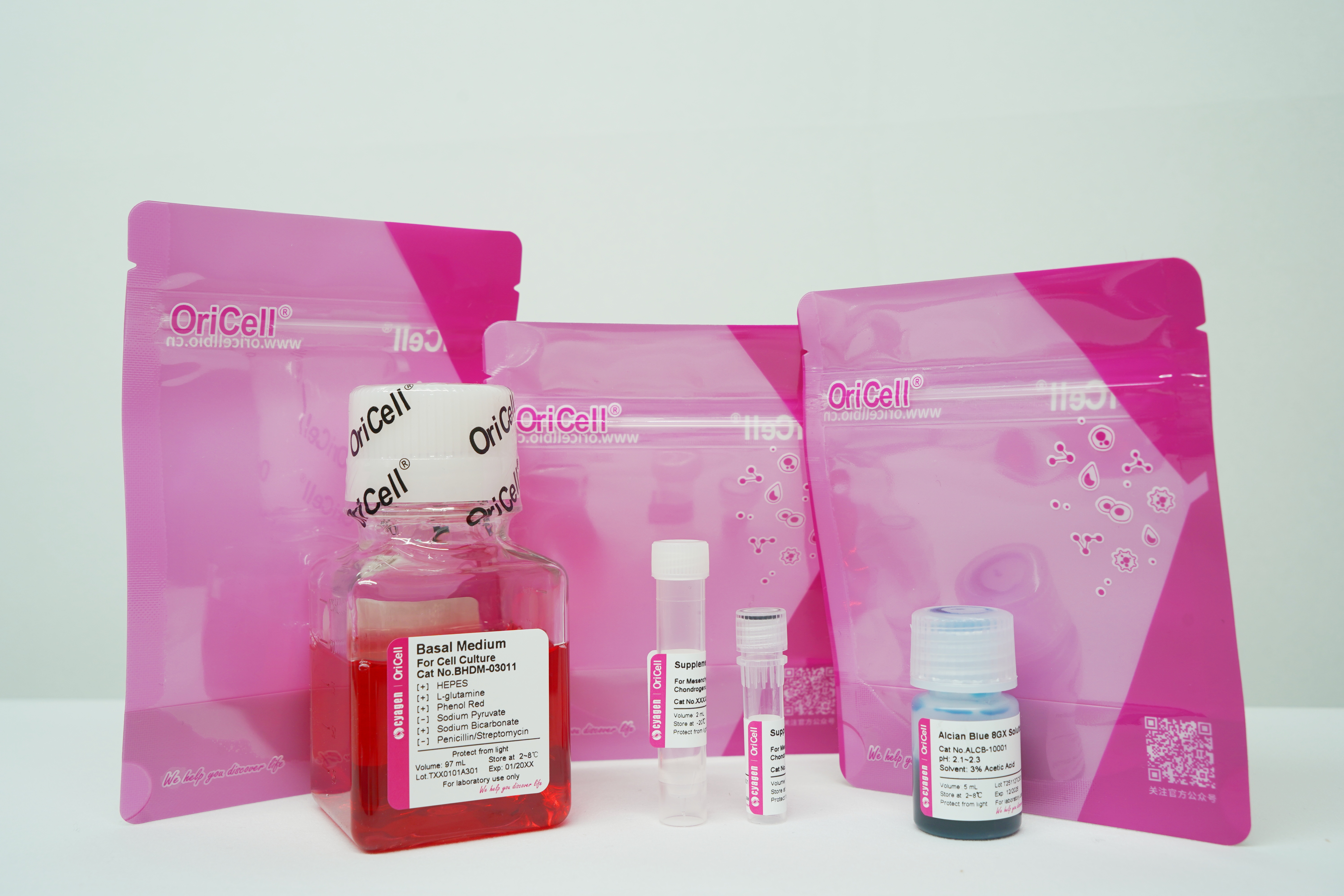 OriCell<sup>®</sup>小鼠肌腱干细胞成软骨诱导分化试剂盒