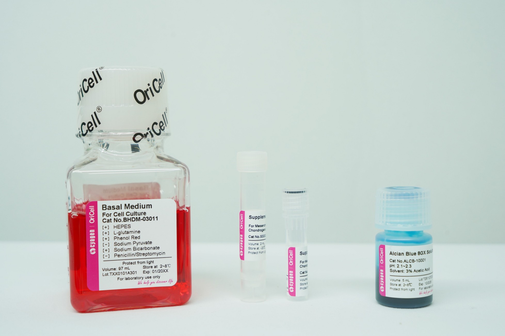 OriCell<sup>®</sup>大鼠骨髓间充质干细胞成软骨诱导分化试剂盒