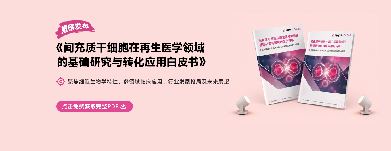 MSC白皮书